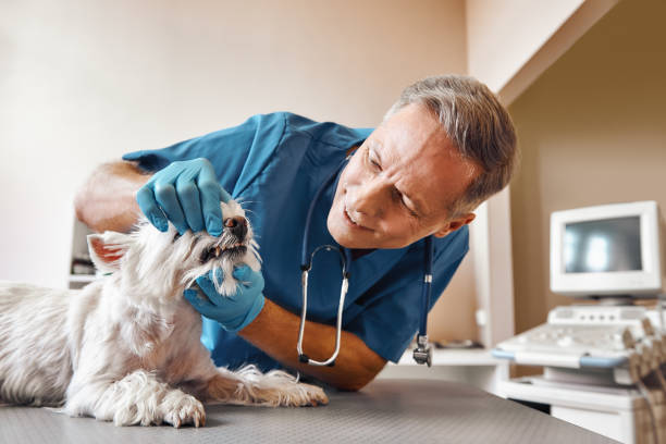 Best Emergency Tooth Extraction in Covington, VA